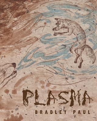 Plasma book