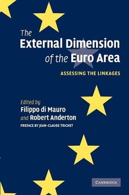 The External Dimension of the Euro Area by Filippo Di Mauro