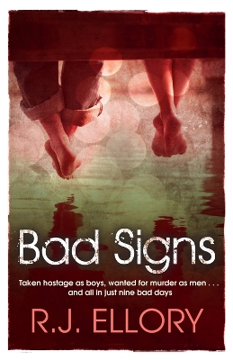 Bad Signs book