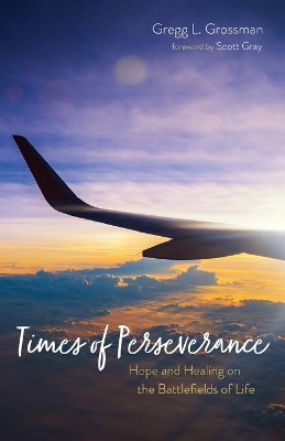 Times of Perseverance book