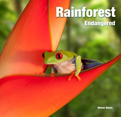 Rainforest Endangered book