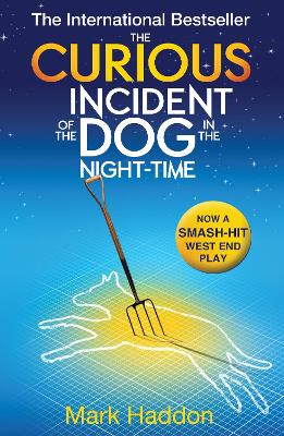 Curious Incident of the Dog In the Night-time book