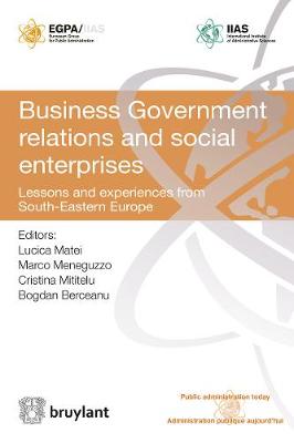 Business Government Relations and Social Enterprises: Lessons and Experiences from South-Eastern Europe book