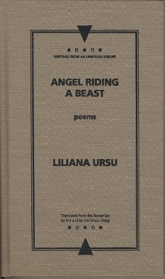 Angel Riding A Beast book