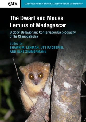 Dwarf and Mouse Lemurs of Madagascar by Shawn M. Lehman