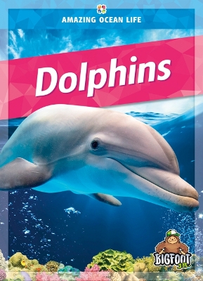 Amazing Ocean Life: Dolphins book