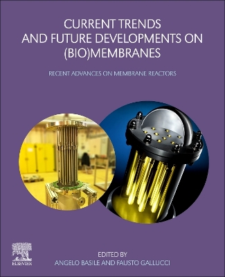 Current Trends and Future Developments on (Bio-) Membranes: Recent Advances on Membrane Reactors book