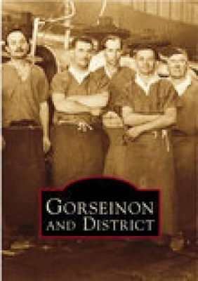 Gorseinon and District book