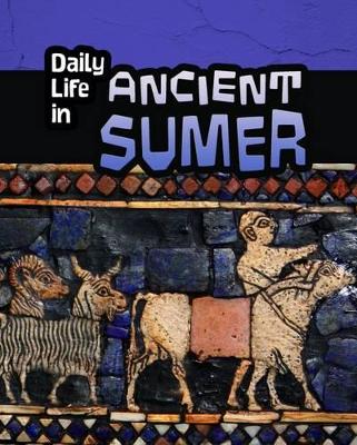 Daily Life in Ancient Civilizations Pack B of 5 book