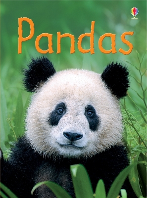 Usborne Beginners: Pandas book