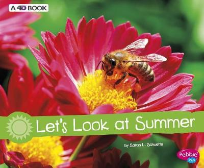 Let's Look at Summer book