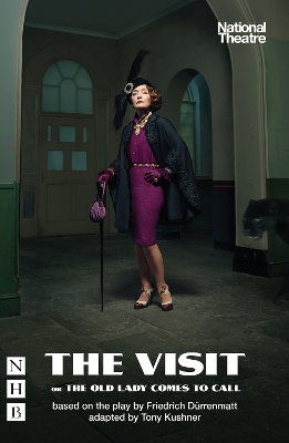 The Visit, or The Old Lady Comes to Call book