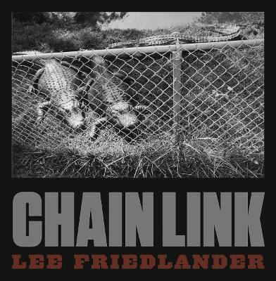 Lee Friedlander: Chain Link book