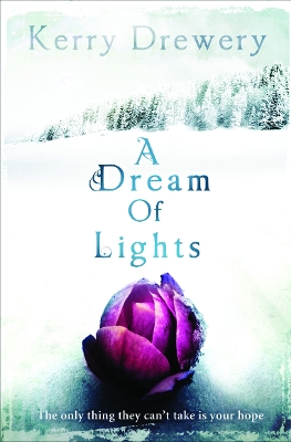 Dream of Lights book