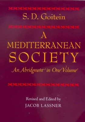 A Mediterranean Society by S. D. Goitein