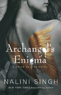 Archangel's Enigma book