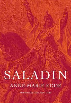 Saladin book