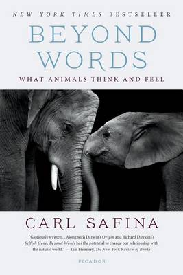 Beyond Words: What Animals Think and Feel book