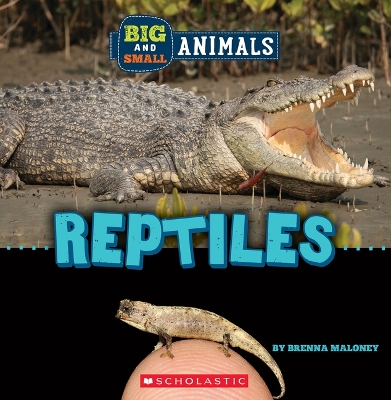 Reptiles (Wild World: Big and Small Animals) by Brenna Maloney