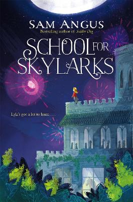 School for Skylarks book