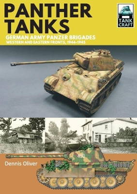 Panther Tanks: Germany Army Panzer Brigades: Western and Eastern Fronts, 1944-1945 book