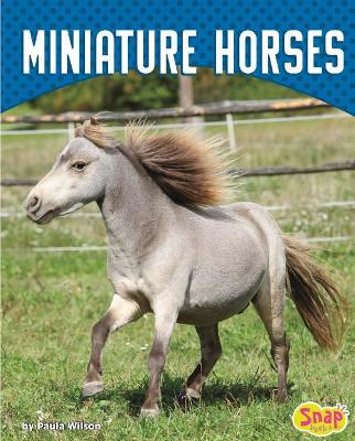 Miniature Horses book