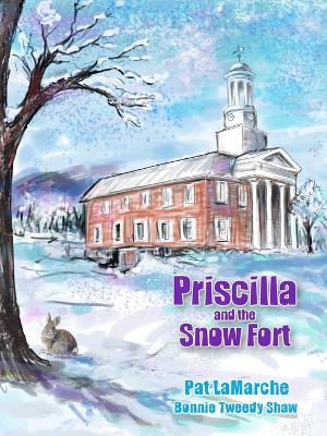 Priscilla and the Snow Fort book