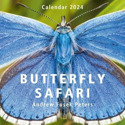 Butterfly Safari Calendar 2024 by Andrew Fusek Peters