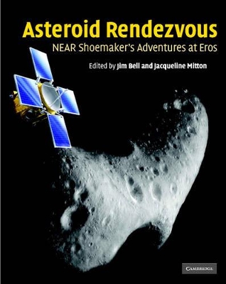 Asteroid Rendezvous book