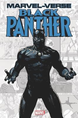Marvel-verse: Black Panther book