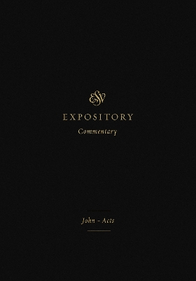 ESV Expository Commentary: John–Acts (Volume 9) book