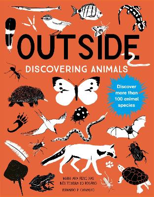 Outside: Discovering Animals by Maria Ana Peixe Dias
