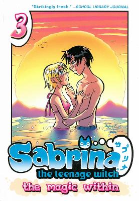 Sabrina The Teenage Witch: The Magic Within 3 book