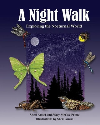 A Night Walk: Exploring the Nocturnal World book