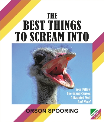The Best Things to Scream Into book