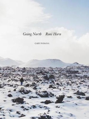 Roni Horn book