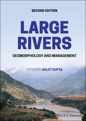 Large Rivers: Geomorphology and Management by Avijit Gupta