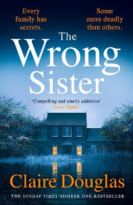 The Wrong Sister book