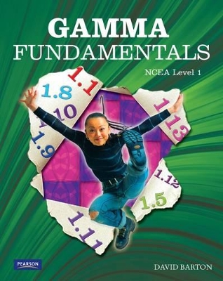 Gamma Fundamentals: NCEA Level 1 book