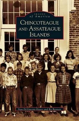 Chincoteague and Assateague Islands by Nan Devincent-hayes