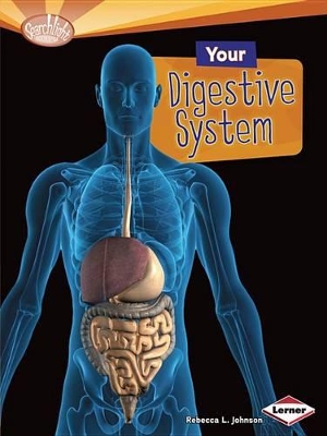 Your Digestive System by , Rebecca Johnson
