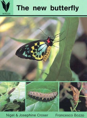 The New Butterfly (Wings): Reading Recovery Level 7 book