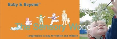 Sensory World: Progression in Play for Babies and Children book