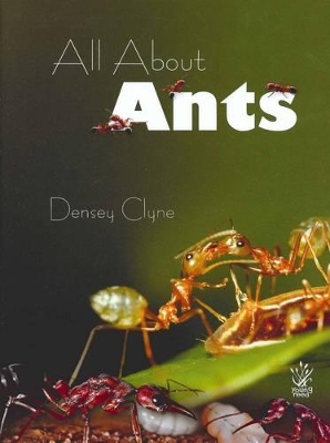 All About Ants book