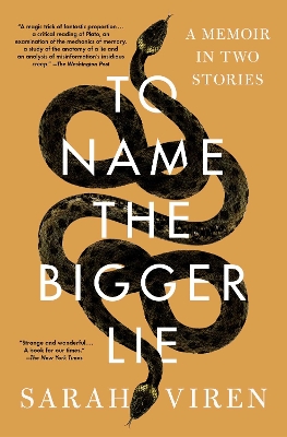 To Name the Bigger Lie: A Memoir in Two Stories book