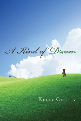 Kind of Dream book