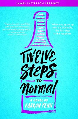 Twelve Steps to Normal book