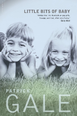 Little Bits of Baby by Patrick Gale