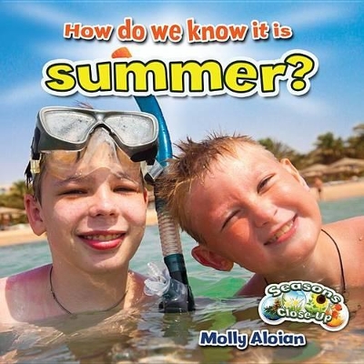 How Do We Know It Is Summer? book