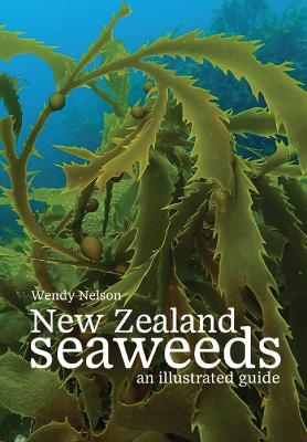 New Zealand Seaweeds: An Illustrated Guide: 2020 book